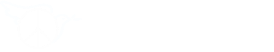 Peace Foundation